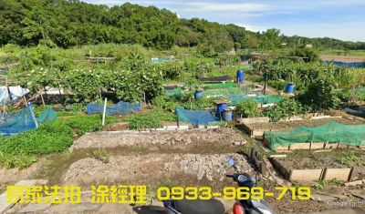 霄裡國小農地@八德區魚池街@竹園段