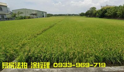 法拍@楊梅和平路農地@上田國小@1萬/坪,桃園市楊梅區農牧用地法拍